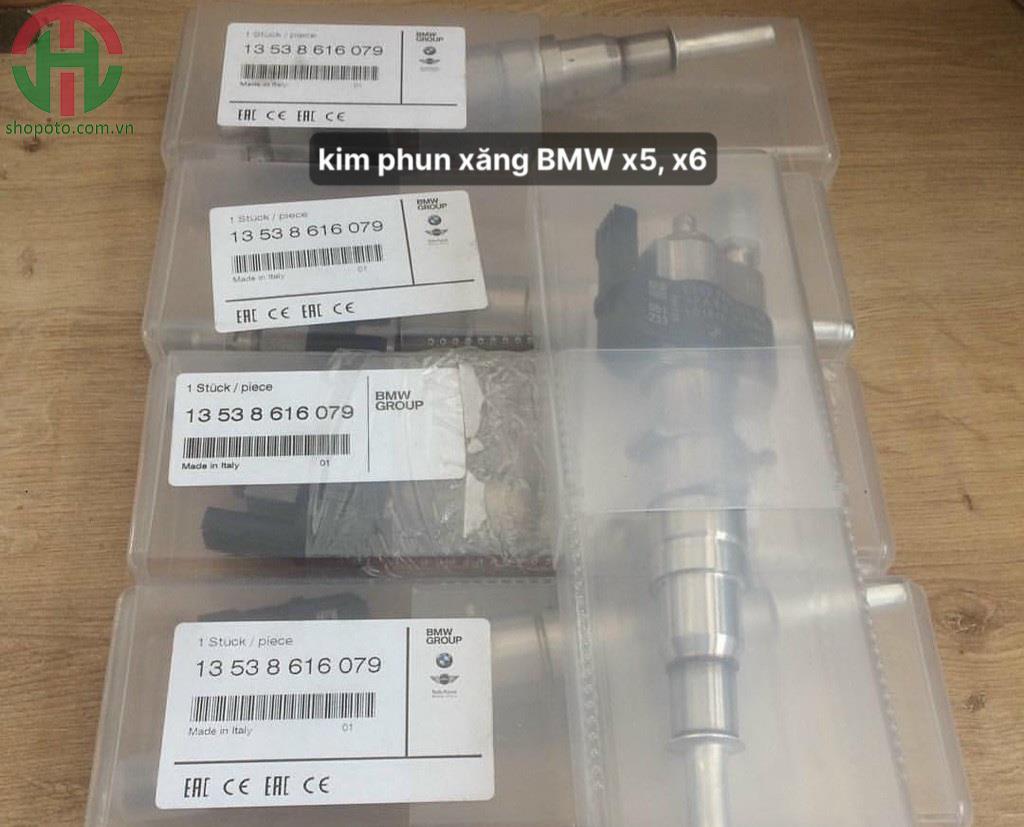 Kim phun xăng xe BMW X6
