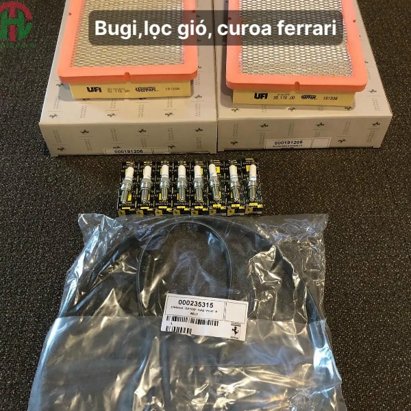 Dây curoa tổng xe Ferrari 488