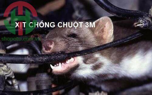 Xịt chống chuột 3M