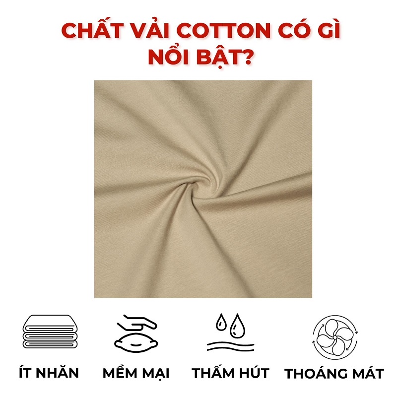 áo thun local brand chính hãng dkmv