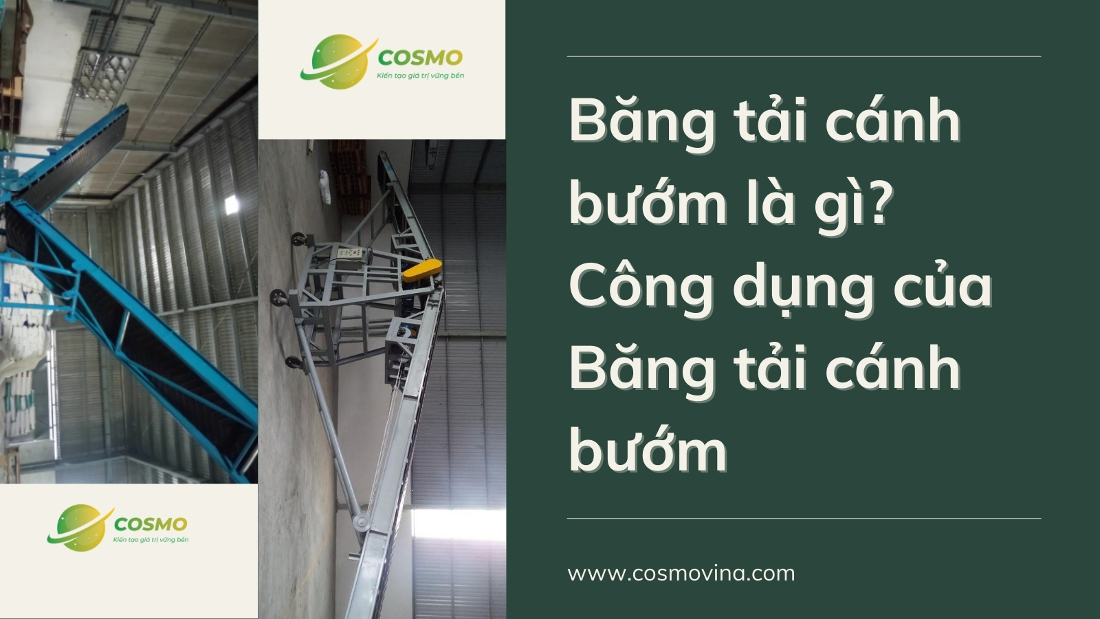 Băng tải cánh bướm là gì? Công dụng của Băng tải cánh bướm