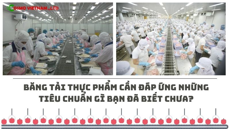 Băng tải thực phẩm cần đáp ứng những tiêu chuẩn gì bạn đã biết chưa?