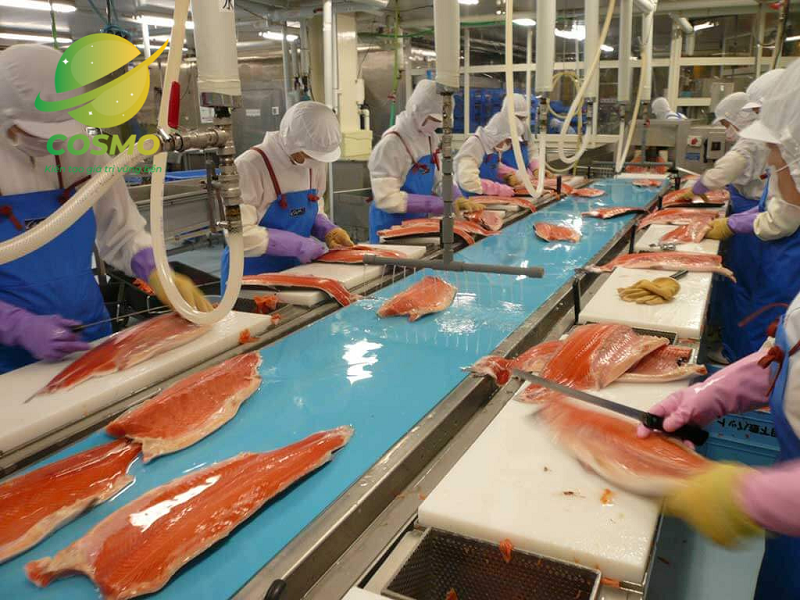 Dây chuyền chế biến thủy hải sản