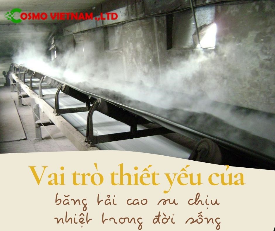 Vai trò thiết yếu của băng tải cao su chịu nhiệt trong cuộc sống