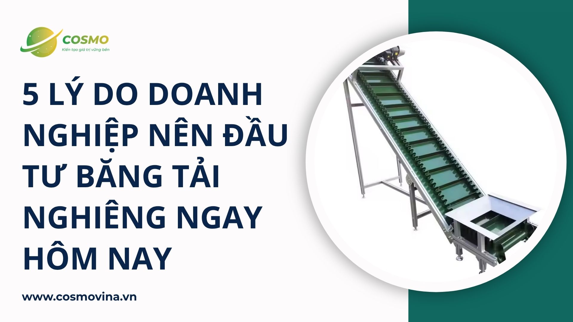 5 lý do doanh nghiệp nên đầu tư băng tải nghiêng ngay hôm nay