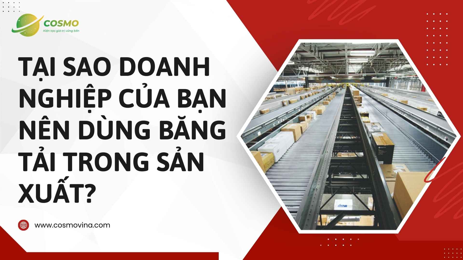 Tại sao doanh nghiệp của bạn nên dùng băng tải trong sản xuất?