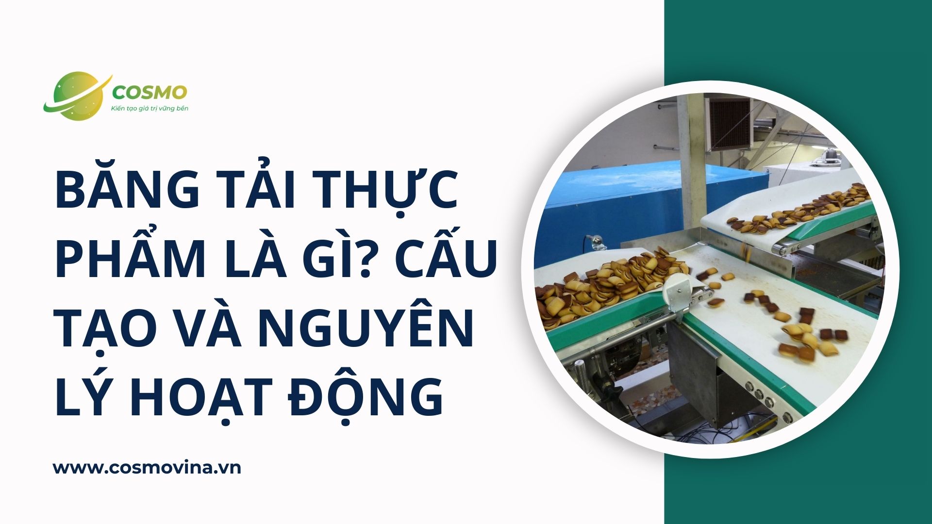 Băng tải thực phẩm là gì? Cấu tạo và nguyên lý hoạt động
