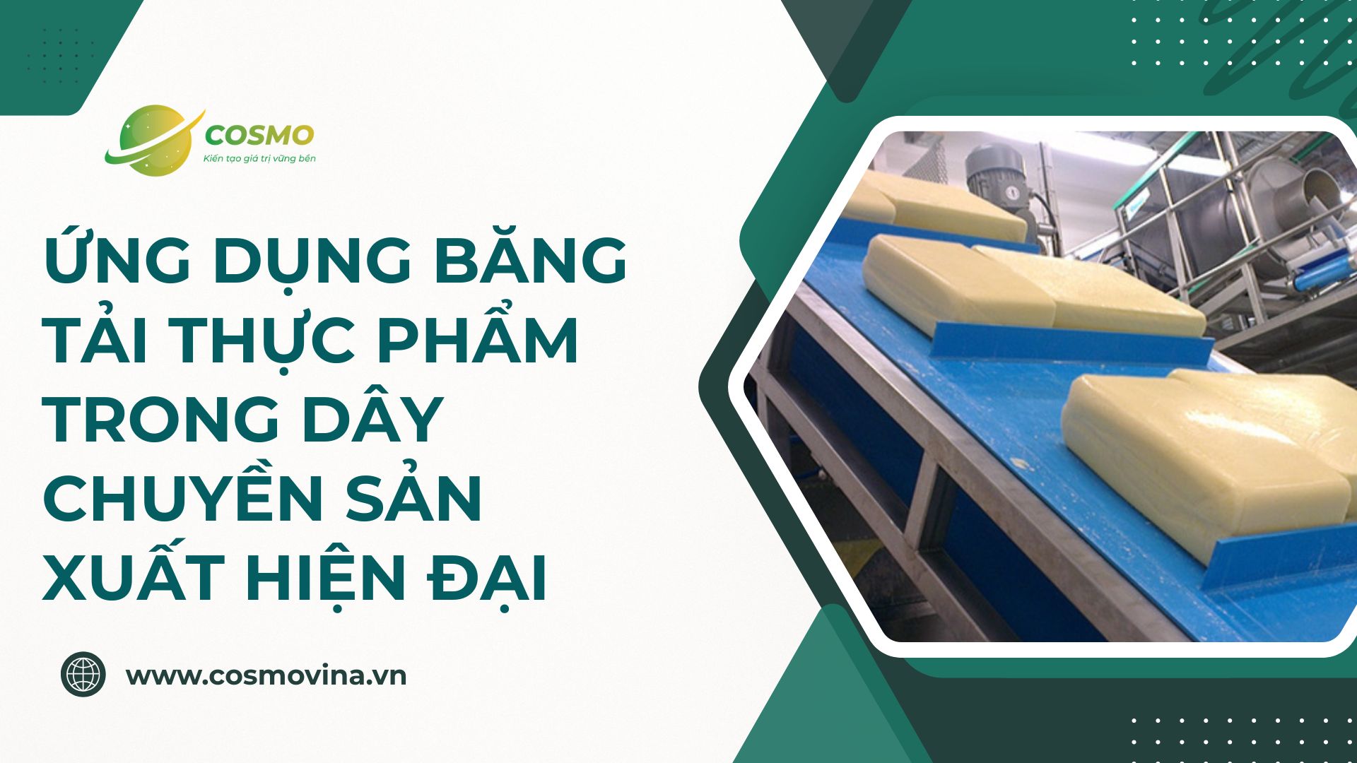 Ứng dụng băng tải thực phẩm trong dây chuyền sản xuất hiện đại