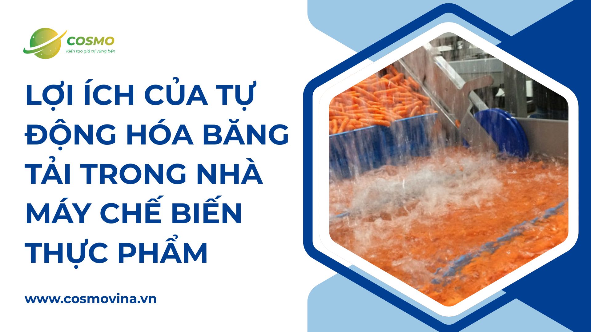 Lợi ích của tự động hóa băng tải trong nhà máy chế biến thực phẩm