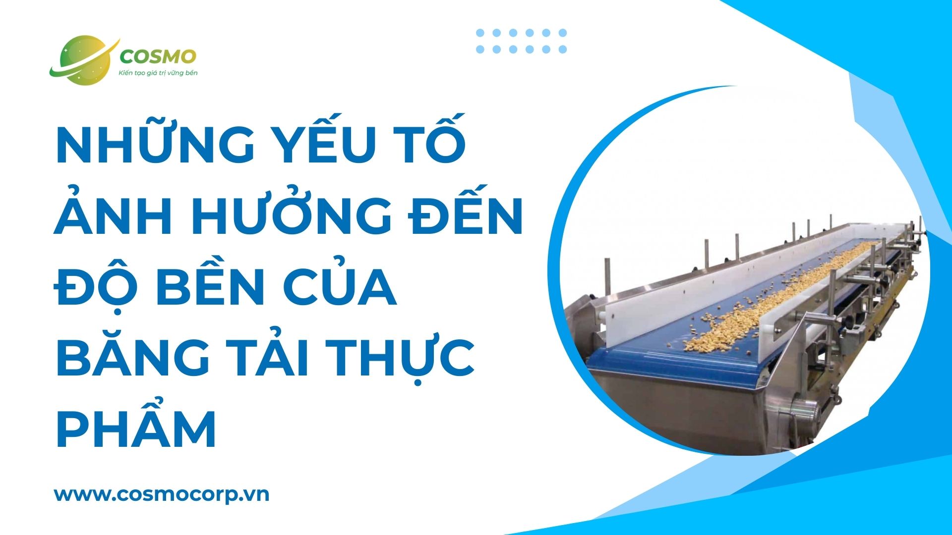 Những yếu tố ảnh hưởng đến độ bền của băng tải thực phẩm