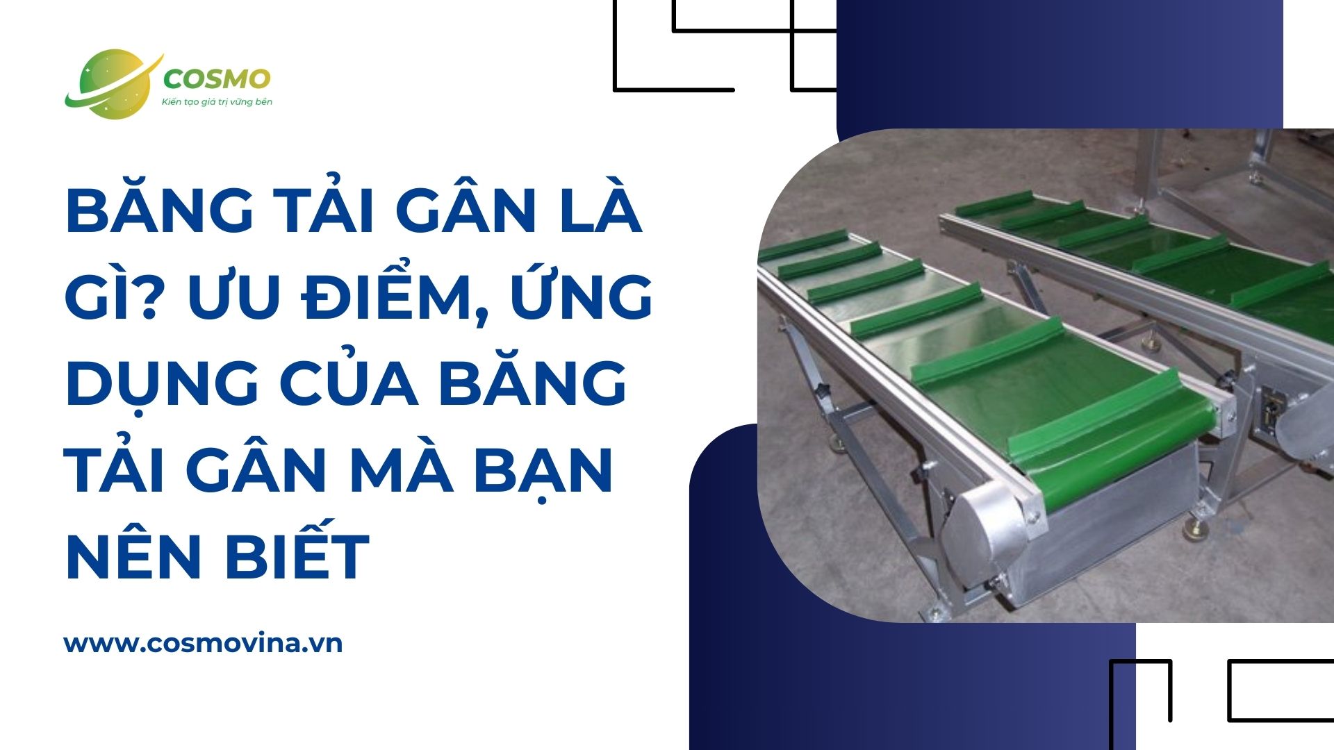 Băng tải gân là gì? Ưu điểm, ứng dụng của băng tải gân mà bạn nên biết