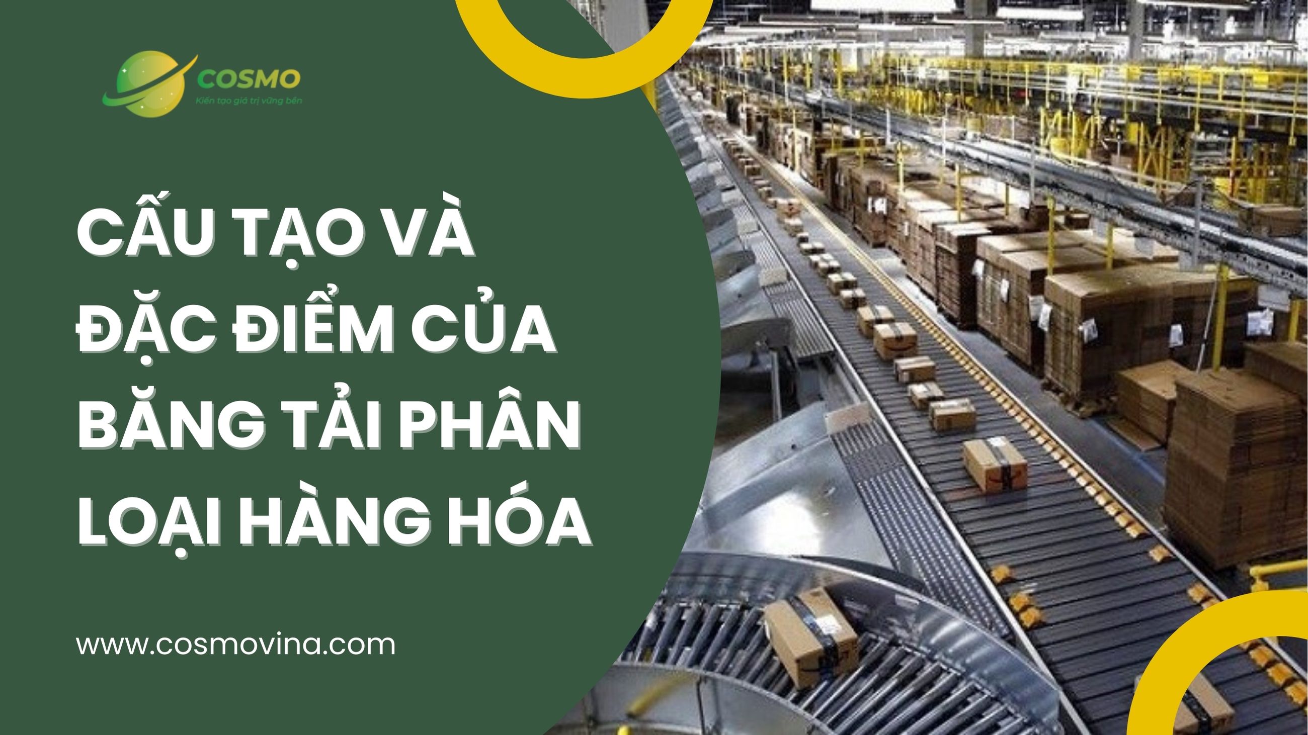 Cấu tạo và đặc điểm của Băng tải phân loại hàng hóa