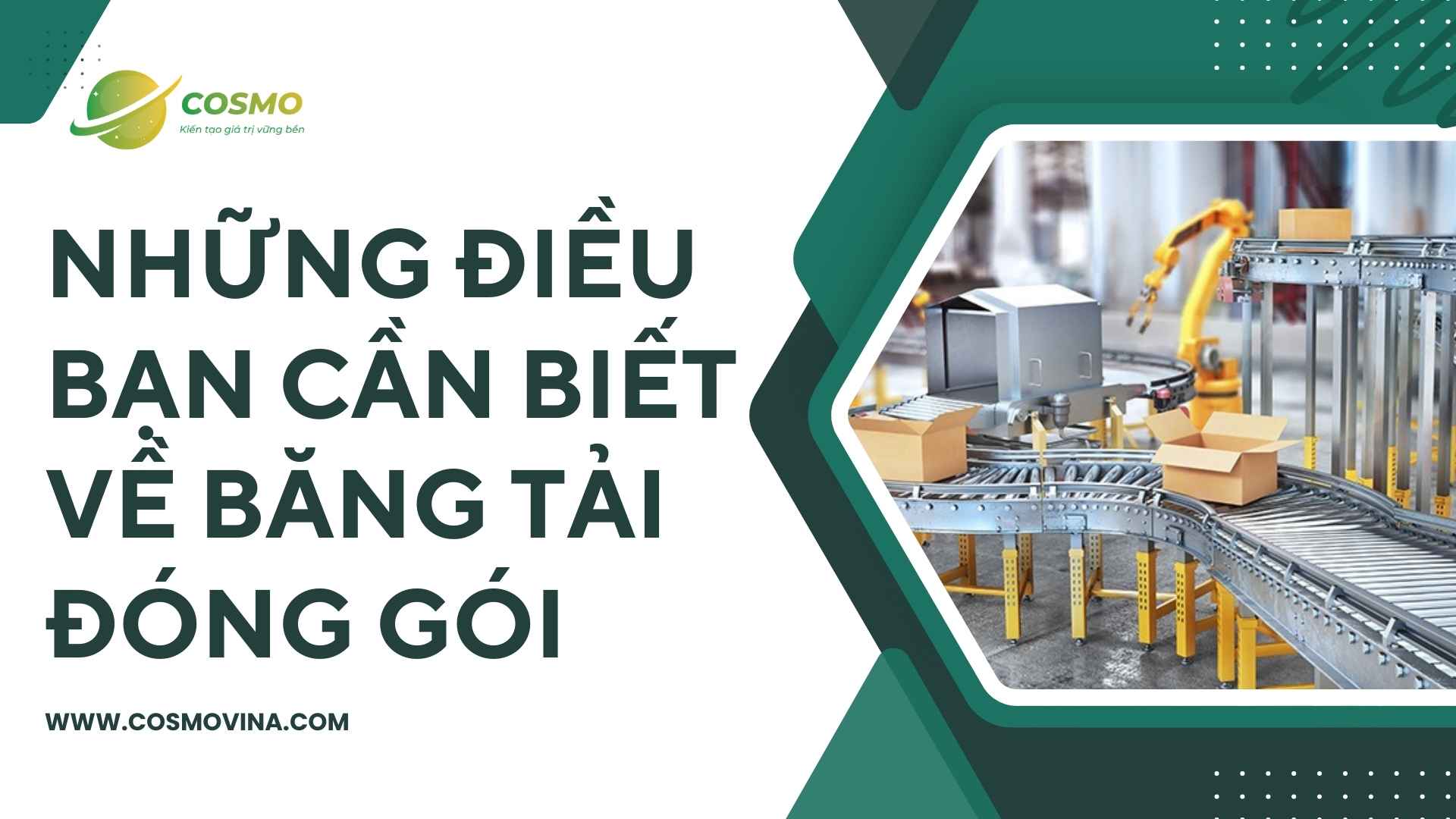 Những điều bạn cần biết về băng tải đóng gói