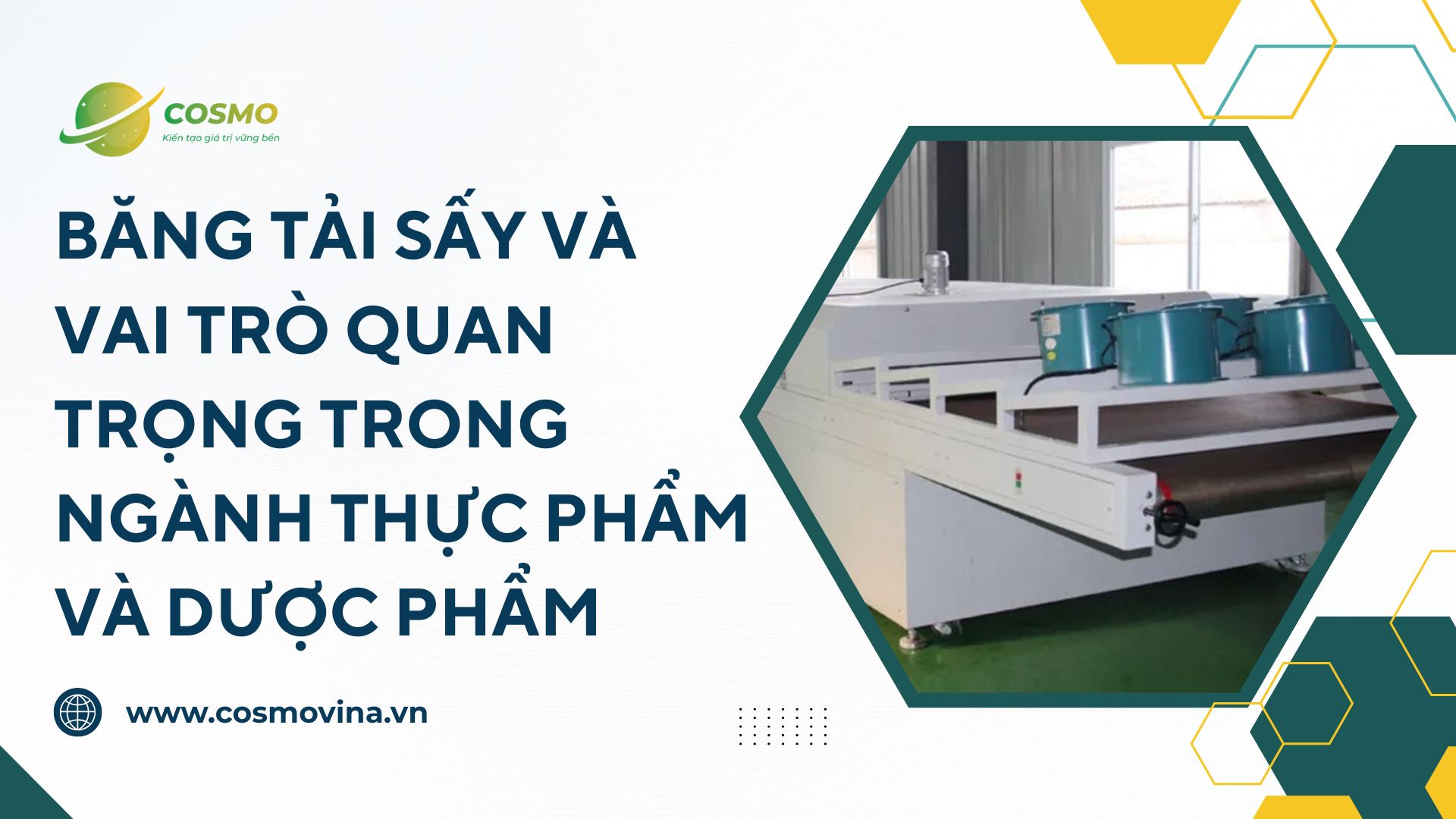Băng tải sấy và vai trò quan trọng trong ngành thực phẩm và dược phẩm