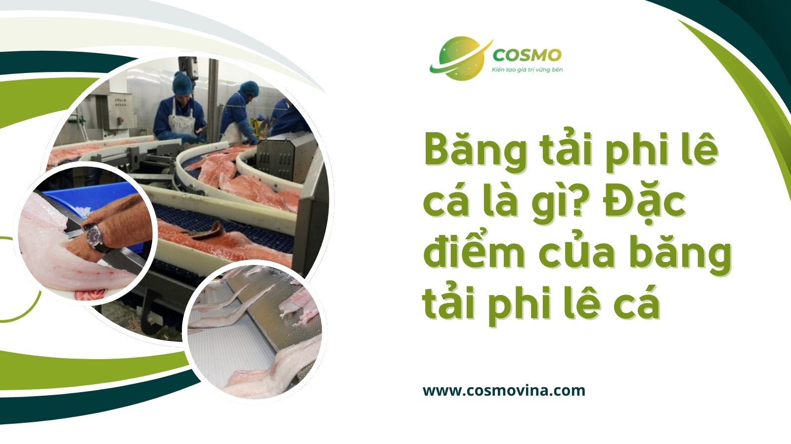 Băng tải phi lê cá là gì? Đặc điểm của băng tải phi lê cá