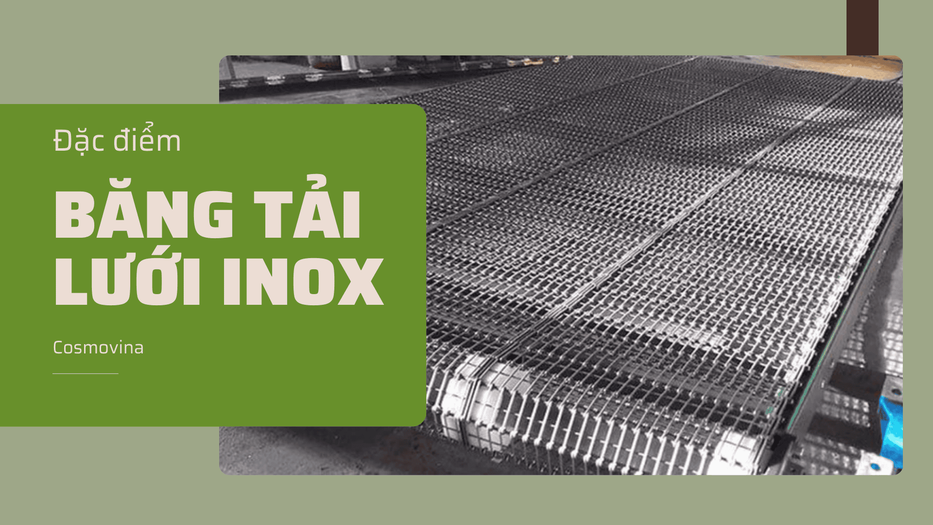 Đặc điểm và công dụng của băng tải lưới inox