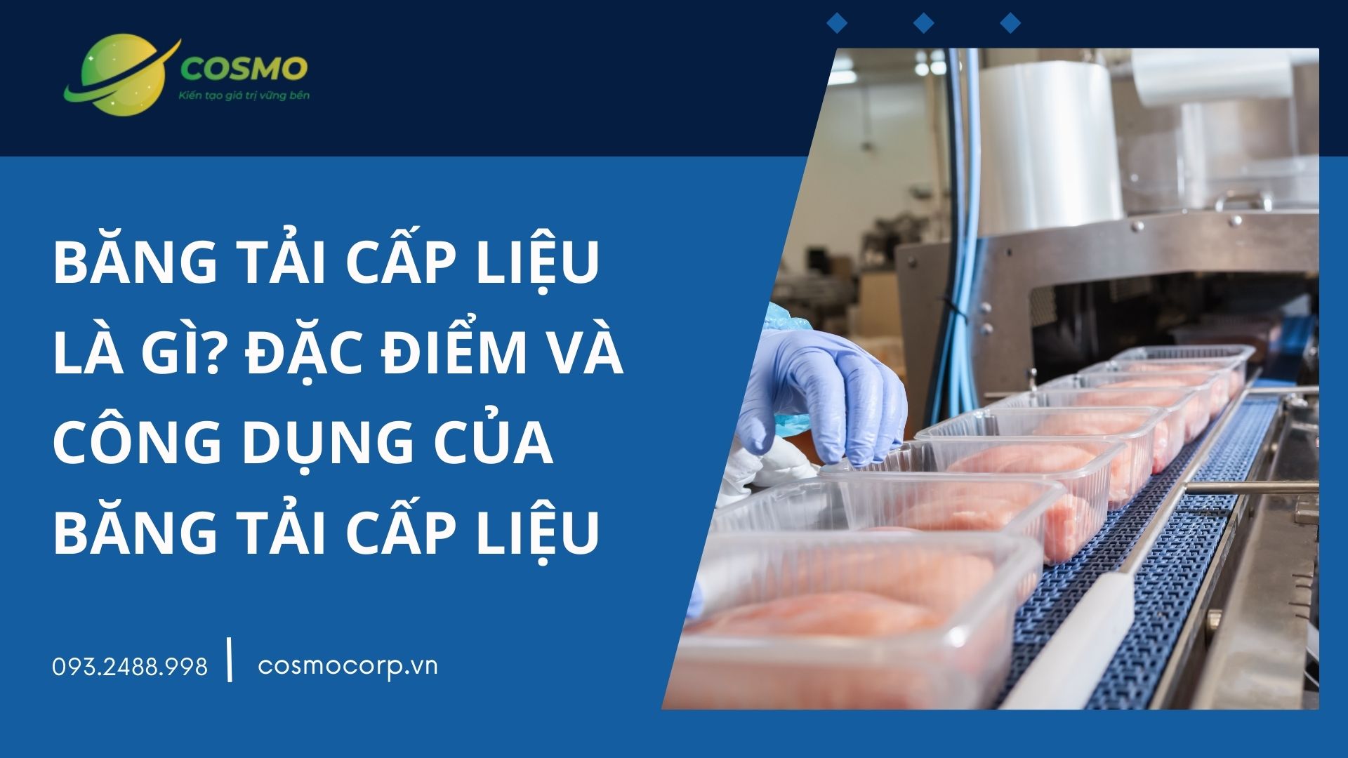 Băng tải cấp liệu là gì? Đặc điểm và công dụng của băng tải cấp liệu