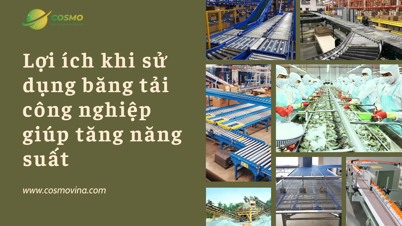Lợi ích khi sử dụng Băng tải công nghiệp giúp tăng năng suất