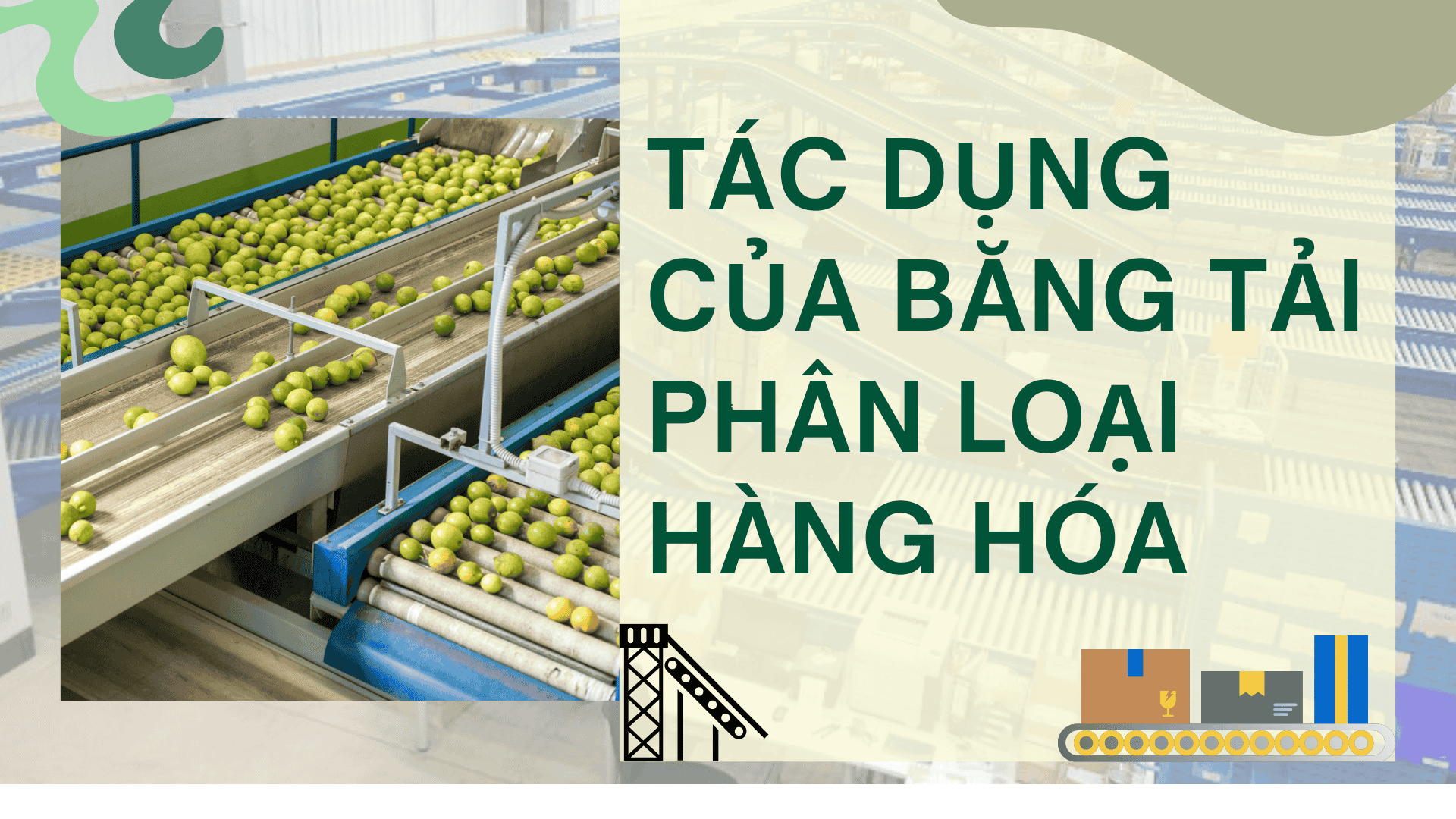 Tác dụng to lớn mà băng tải phân loại hàng hóa mang lại cho doanh nghiệp