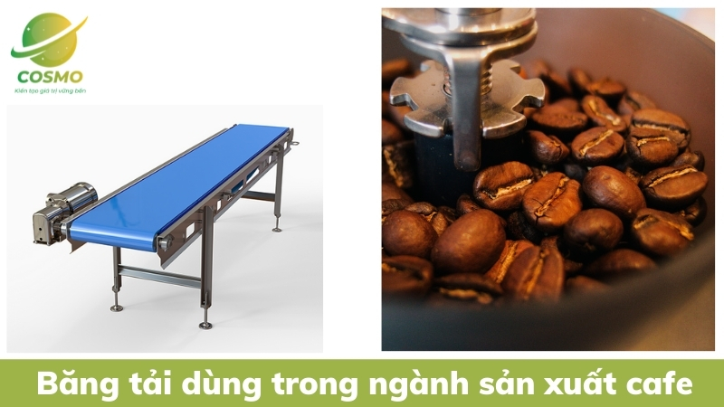 Băng tải dùng trong ngành sản xuất cafe