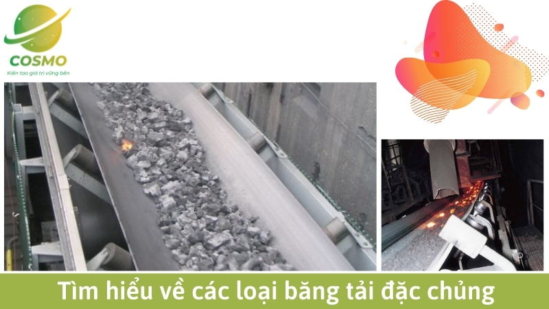 Tìm hiểu về các loại băng tải đặc chủng