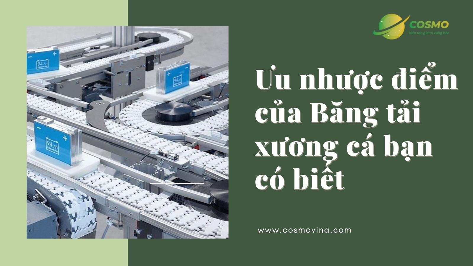 Ưu nhược điểm của Băng tải xương cá bạn có biết