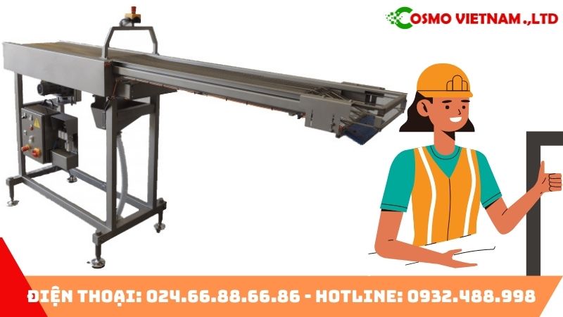 Vì sao băng tải chở sản phẩm đúc lại được ưa chuộng đến vậy?