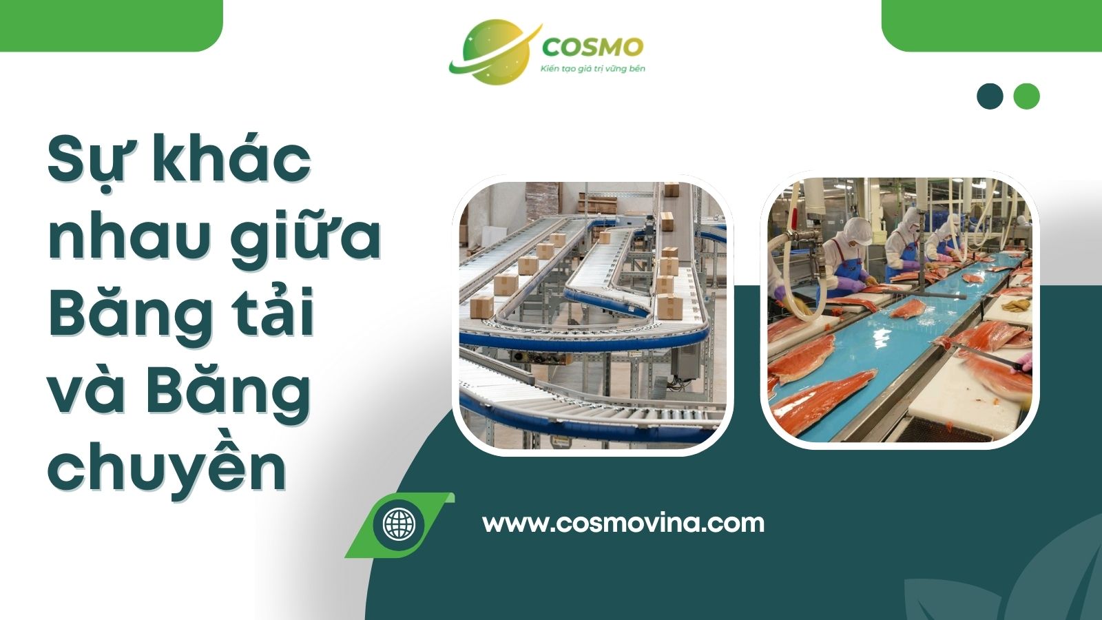 Phân biệt sự khác nhau giữa băng tải và băng chuyền