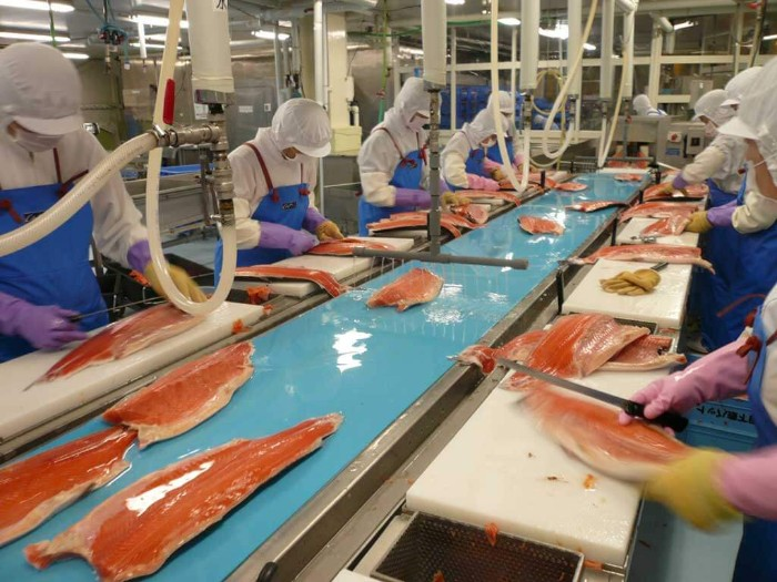 băng tải phục vụ cho thủy sản