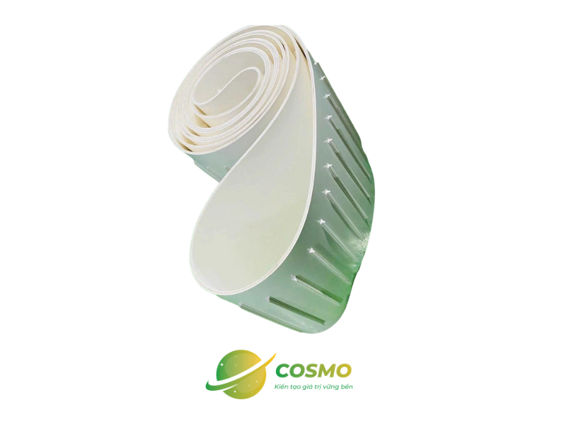 Băng tải gân nhựa