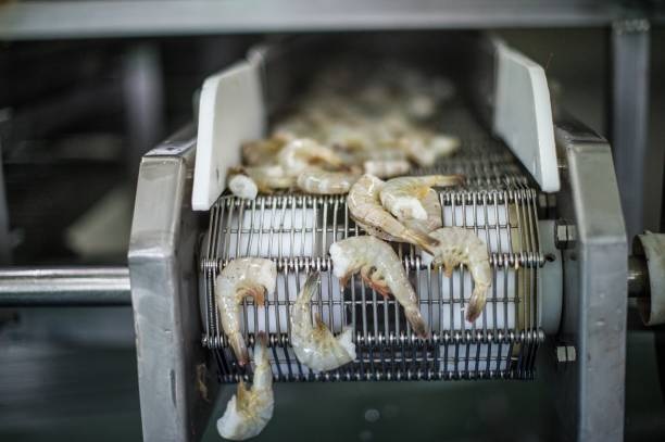 Đặc điểm và công dụng của băng tải lưới inox