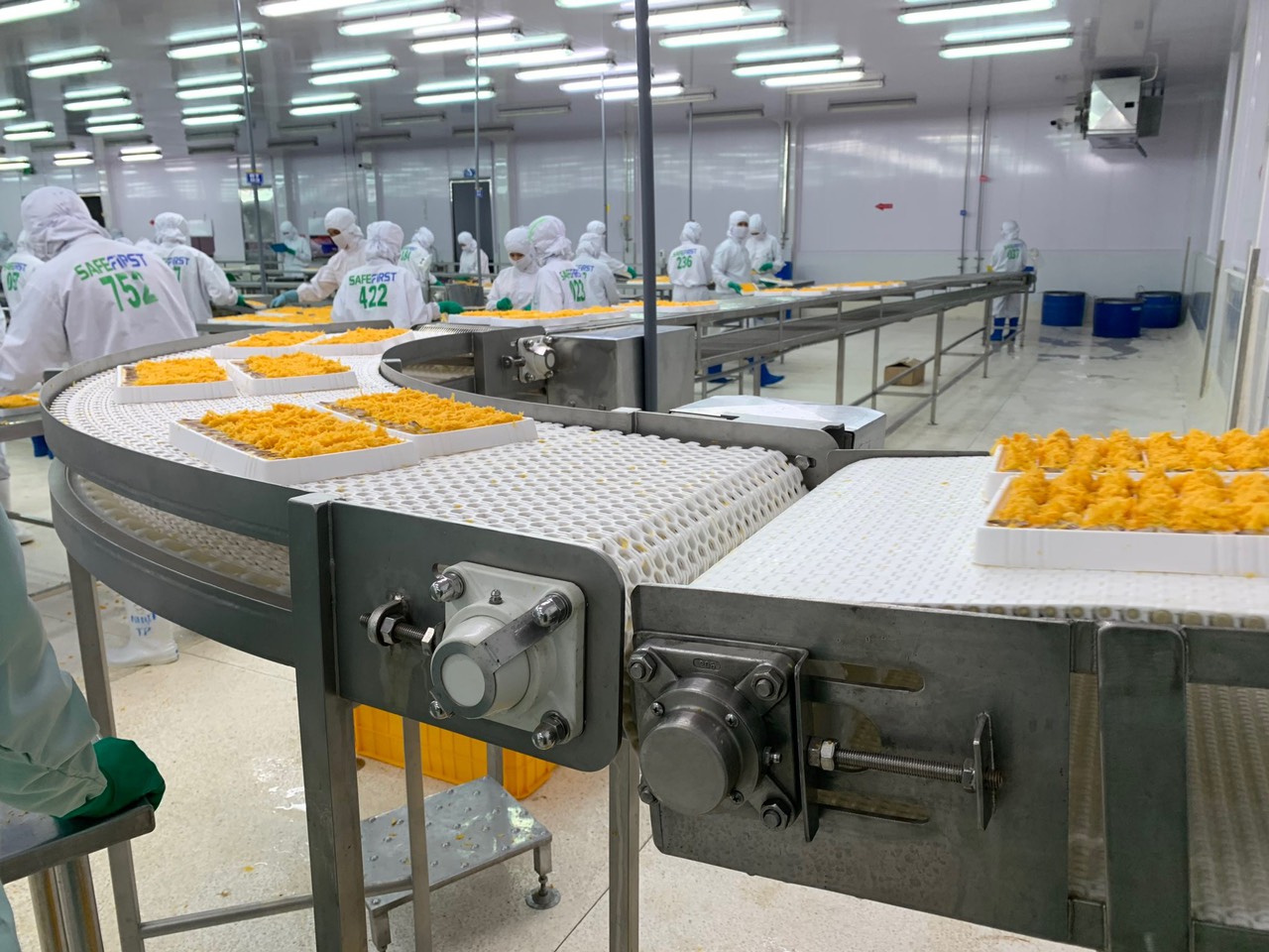 Tính năng nổi bật của băng tải vệ sinh trong chế biến thực phẩm