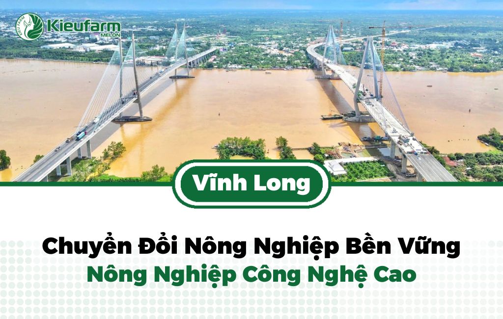 Xu hướng nông nghiệp công nghệ cao tại Vĩnh Long