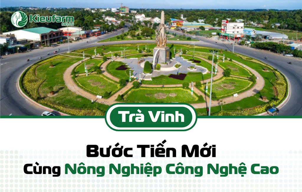 Bước tiến mới dự án nhà màng dưa lưới tại Trà Vinh