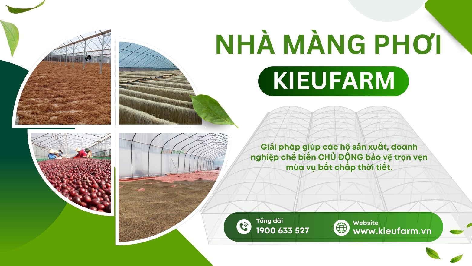 Đơn vị thi công nhà màng phơi nông sản chuyên nghiệp