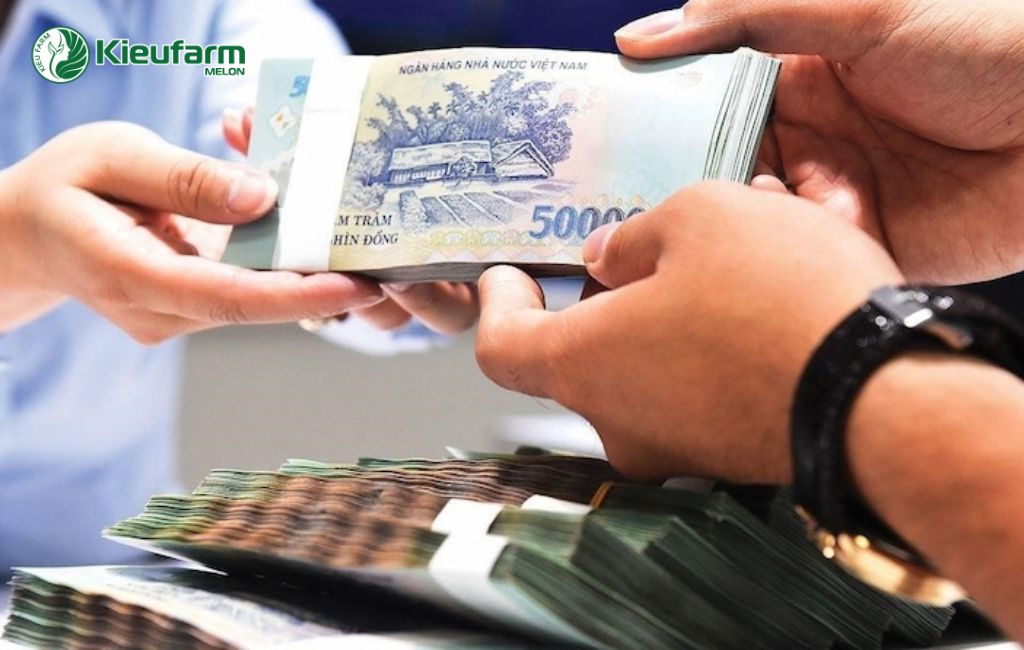 Hỗ trợ tài chính cho đầu tư nông nghiệp