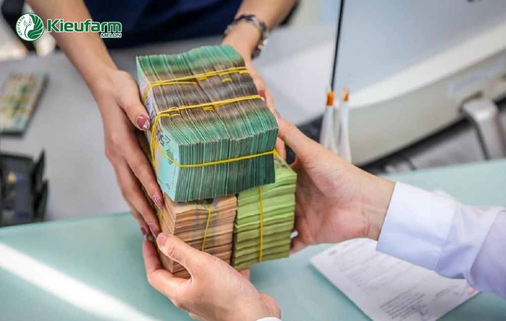 Mô hình ứng dụng công nghệ cao
