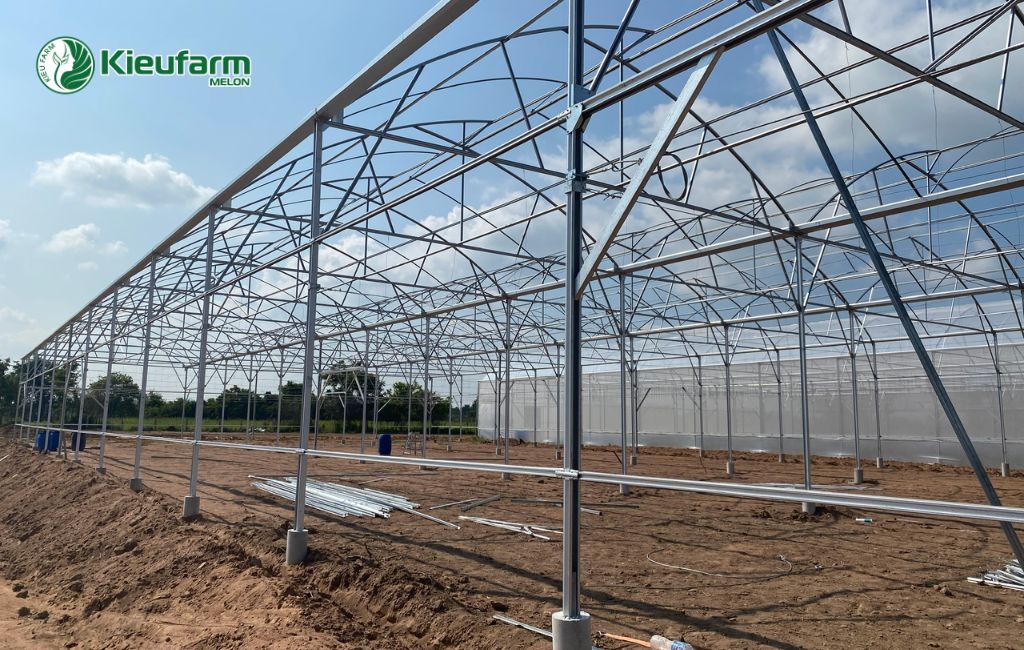 Kieufarm thi công nhà màng dưa lưới tại Long An