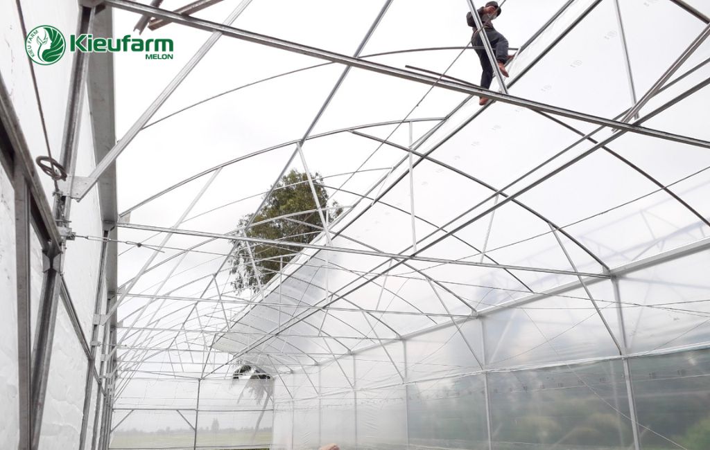 Thi công nhà màng dưa lưới tại Kieufarm 