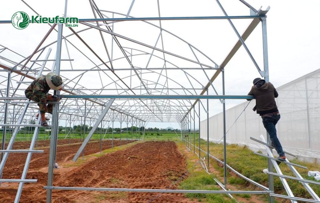 Quy trình thi công nhà màng dưa lưới Kieufarm