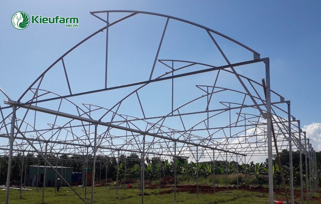 Dịch vụ thi công lắp đặt nhà màng uy tín