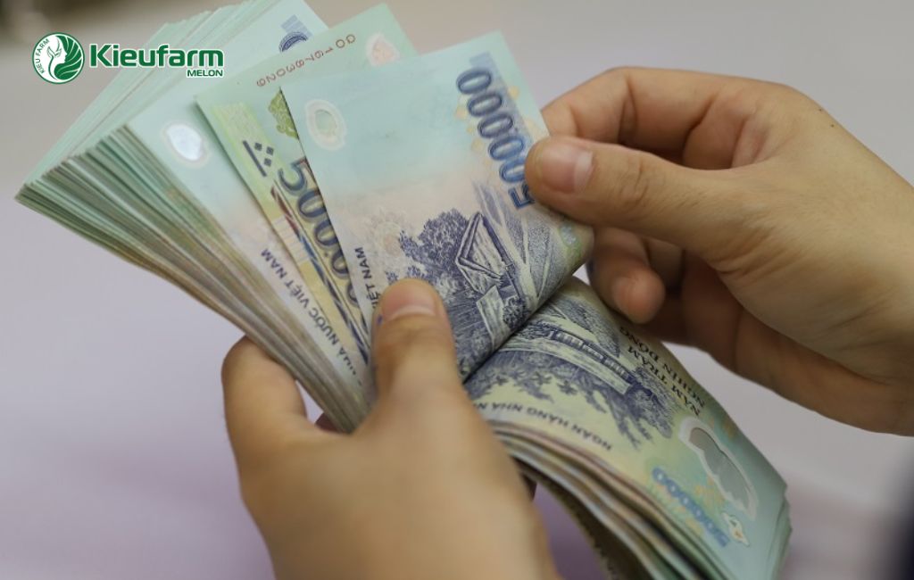 Chi phí làm nhà màng dưa lứoi