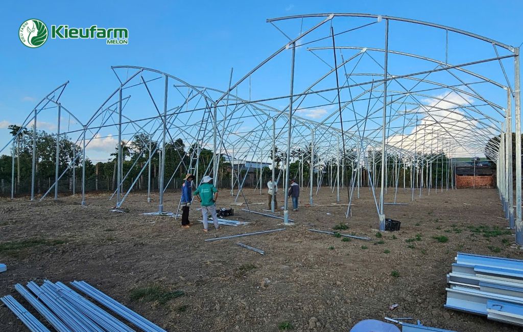 Thi công nhà màng uy tín trọn gói tại Long An 