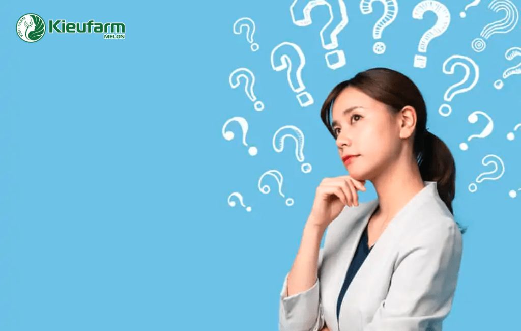 Cơ hội đầu tư cho mô hình nhà màng dưa lưới