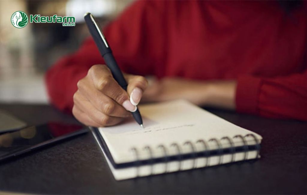 Dự án nhà màng dưa lưới tiêu biểu