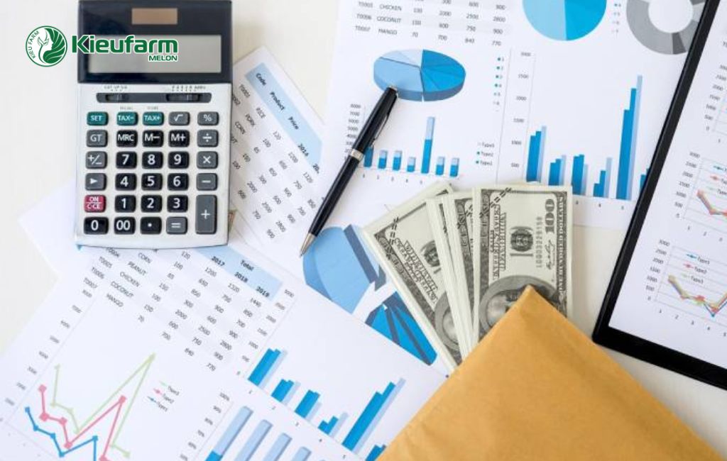 Chuẩn bị trước khi đầu tư làm nhà màng
