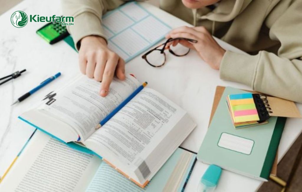 Thiết kế nhà màng phù hợp và bền vững