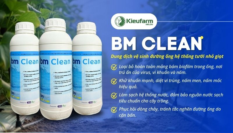 Dung dịch vệ sinh đường ống BM Clean