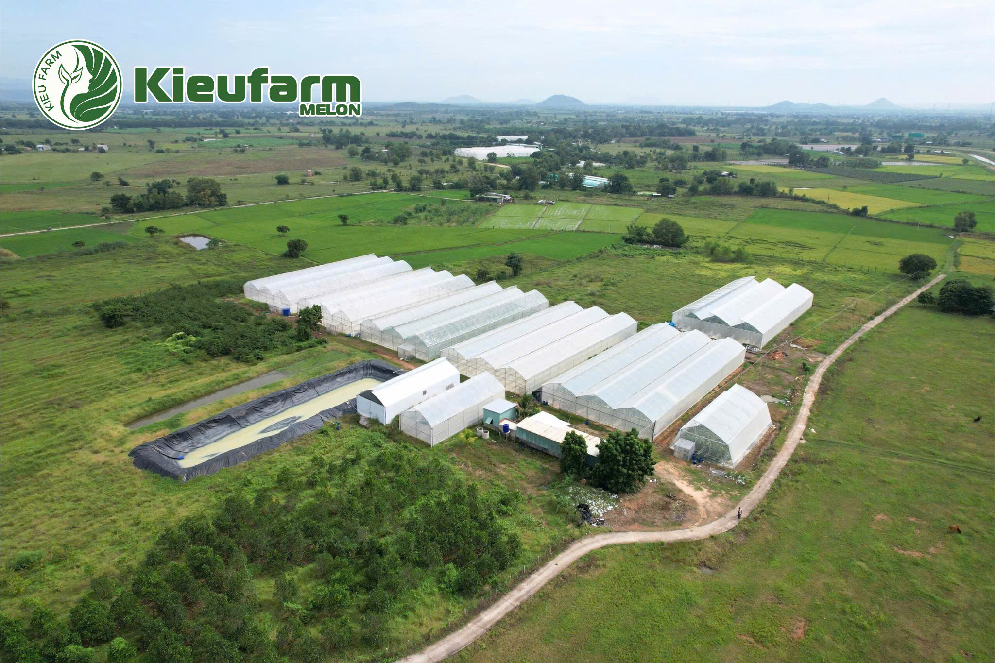Kieufarm có 8 năm kinh nghiệm triển khai mô hình nhà màng dưa lưới công nghệ cao cho hơn 2000 khách hàng.