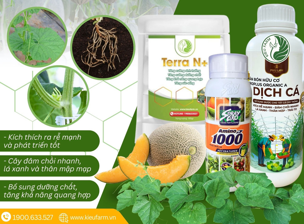 Combo dưỡng cây dưa lưới giai đoạn 1-25 ngày